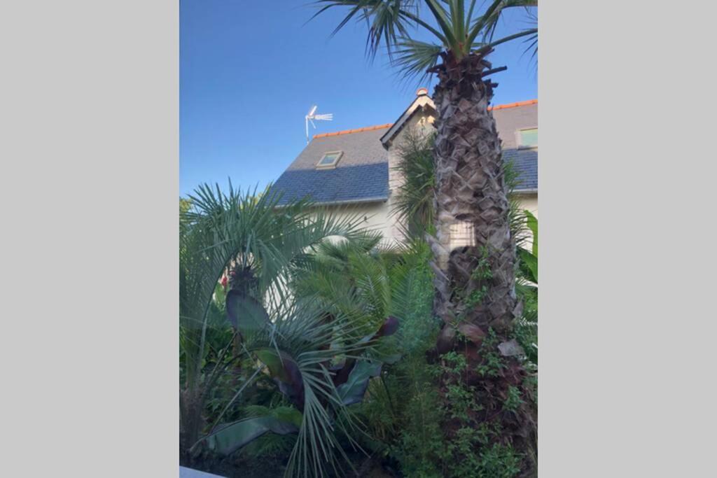 La Petite Maison Dans La Jungle Chartres-de-Bretagne 외부 사진